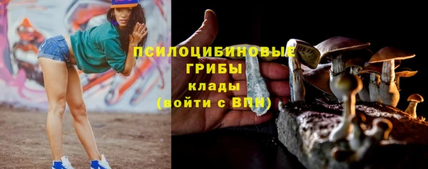 первитин Пересвет