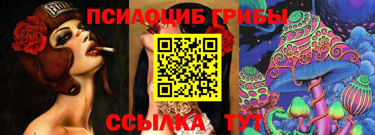 Галлюциногенные грибы MAGIC MUSHROOMS  Уварово  Галлюциногенные грибы прущие грибы 