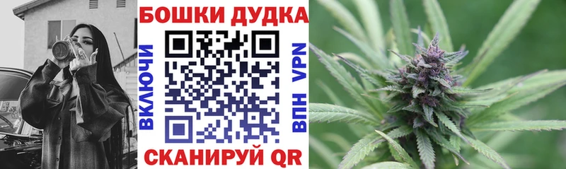 mega tor  хочу   Уварово  сайты даркнета Telegram  Бошки Шишки Bruce Banner 